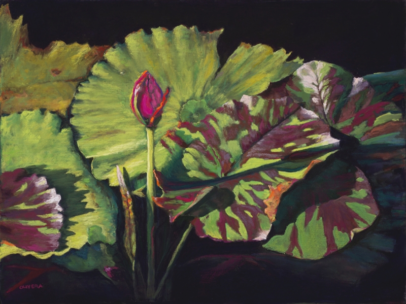 WaterLily Morning by artist Mary Olivera